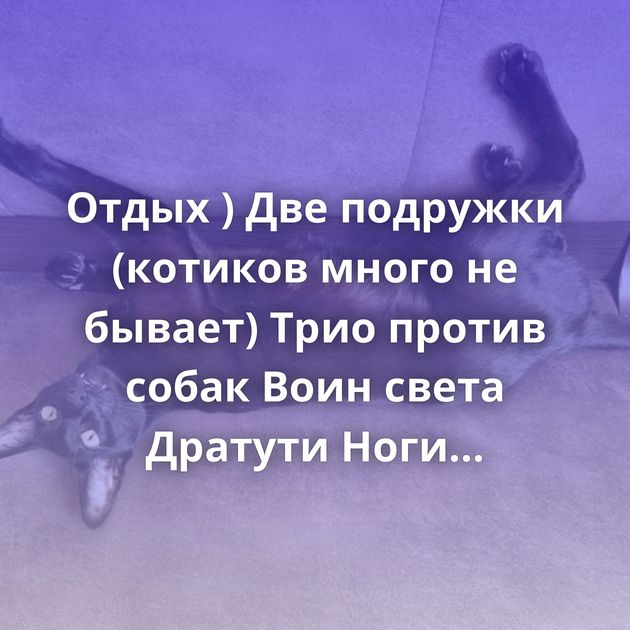 Отдых ) Две подружки (котиков много не бывает) Трио против собак Воин света Дратути Ноги Ушастик Сладких…