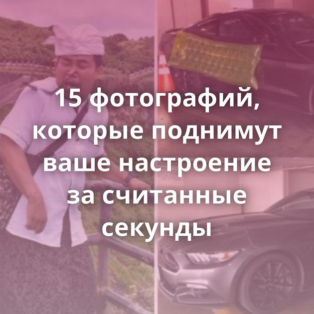 15 фотографий, которые поднимут ваше настроение за считанные секунды