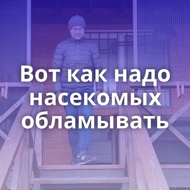 Вот как надо насекомых обламывать