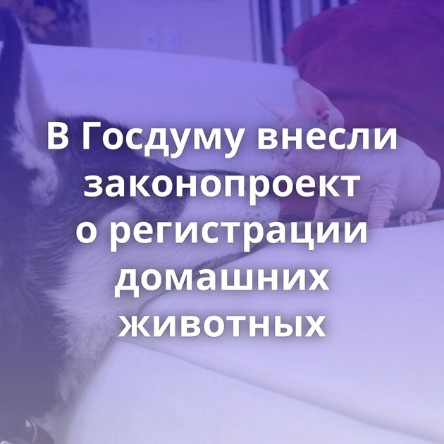 В Госдуму внесли законопроект о регистрации домашних животных