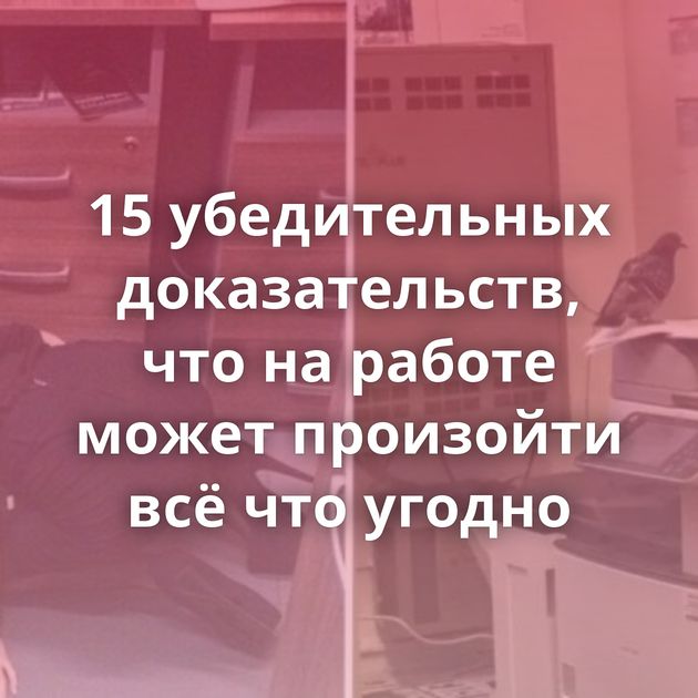 15 убедительных доказательств, что на работе может произойти всё что угодно