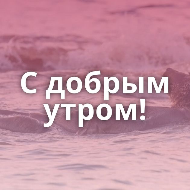 С добрым утром!