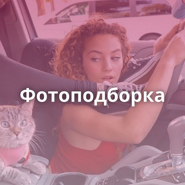 Фотоподборка