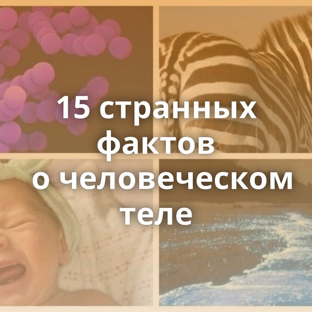 15 странных фактов о человеческом теле