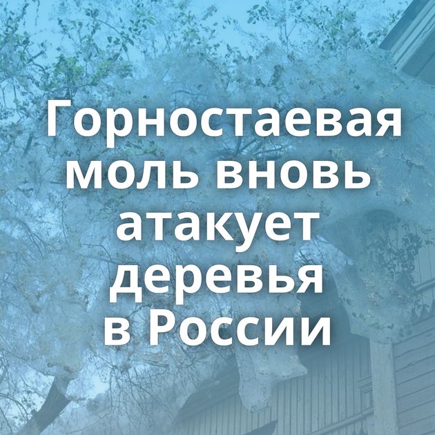 Горностаевая моль вновь атакует деревья в России