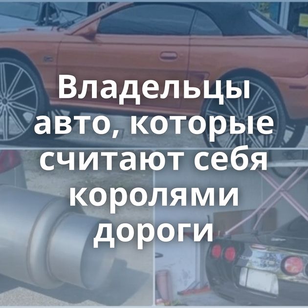 Владельцы авто, которые считают себя королями дороги