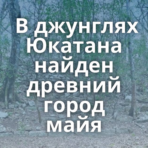 В джунглях Юкатана найден древний город майя