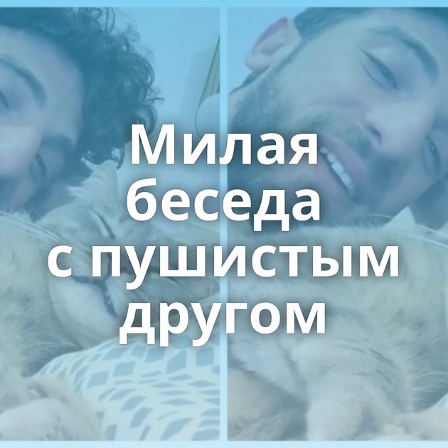 Милая беседа с пушистым другом