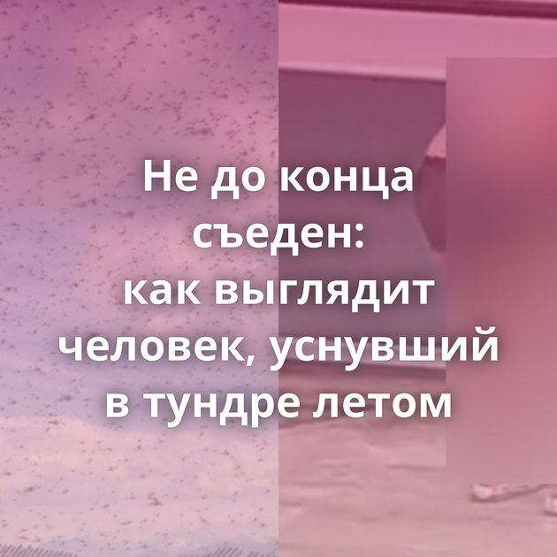 Не до конца съеден: как выглядит человек, уснувший в тундре летом