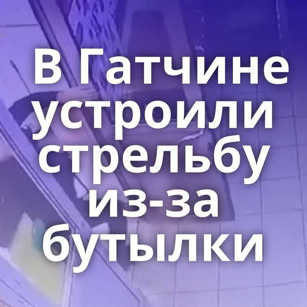 В Гатчине устроили стрельбу из-за бутылки