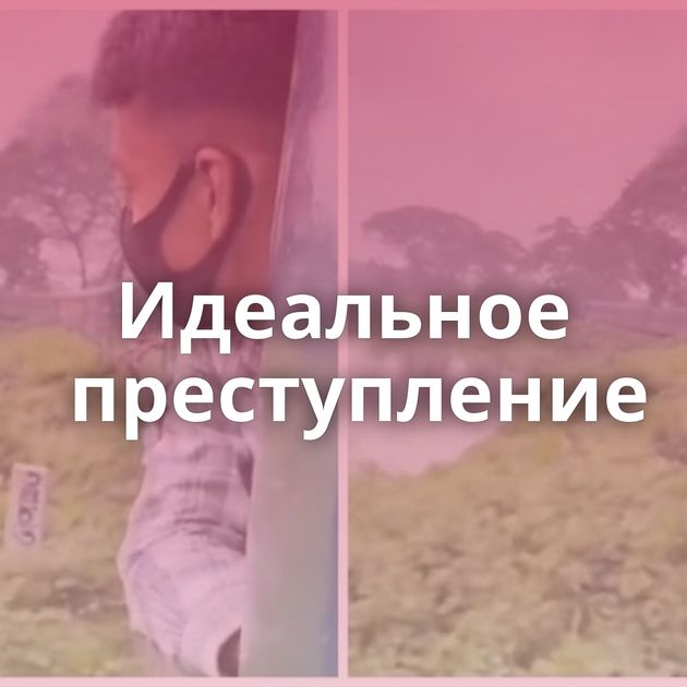 Идеальное преступление