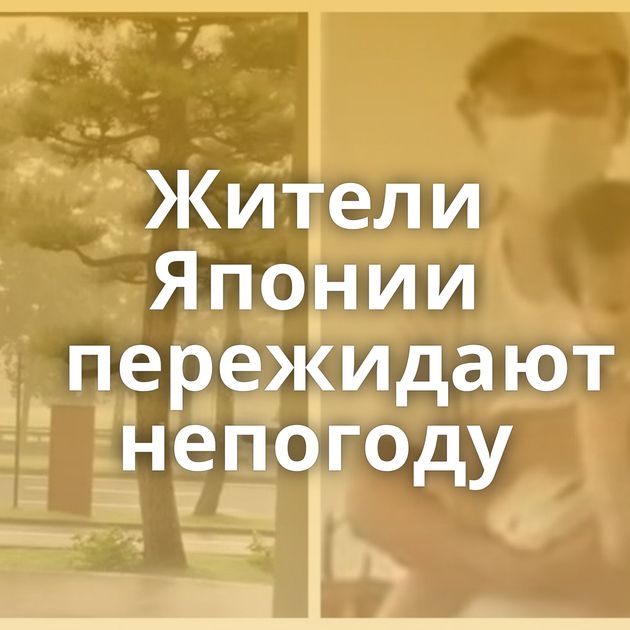Жители Японии пережидают непогоду