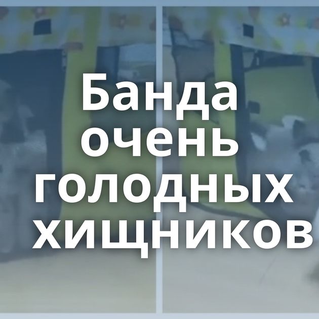 Банда очень голодных хищников