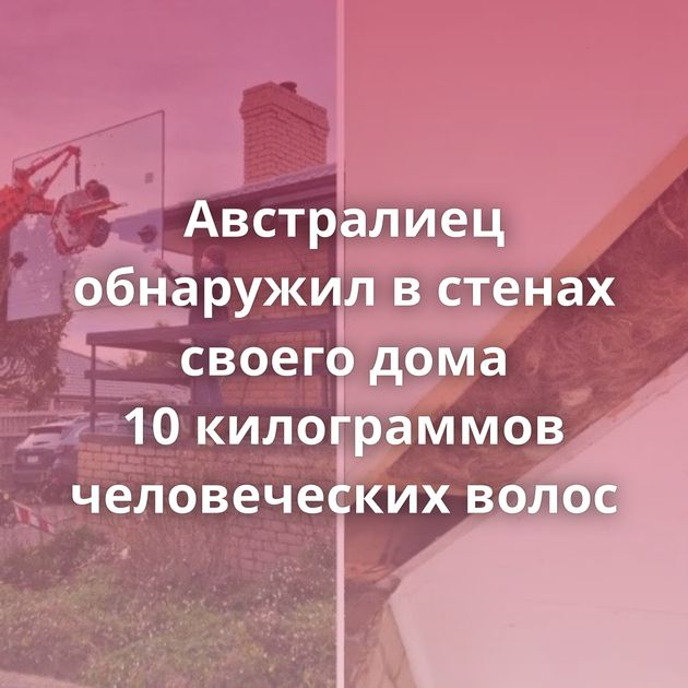 Австралиец обнаружил в стенах своего дома 10 килограммов человеческих волос