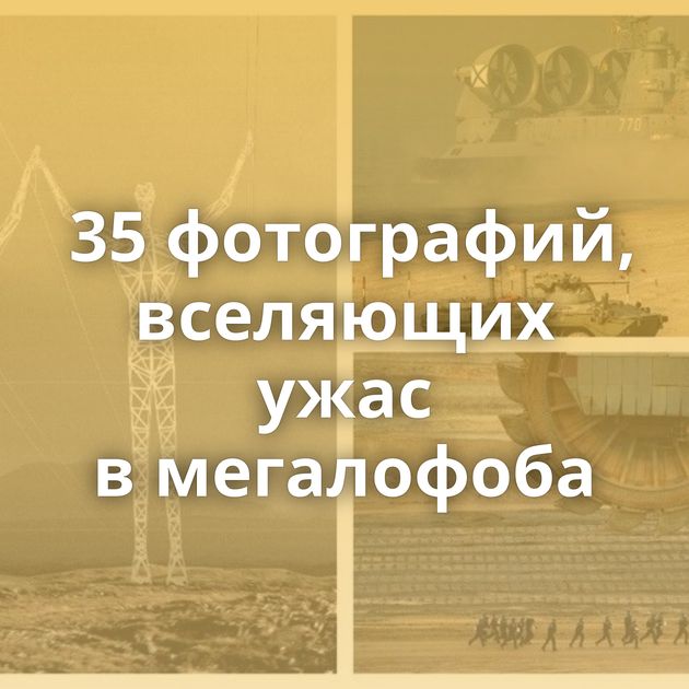35 фотографий, вселяющих ужас в мегалофоба