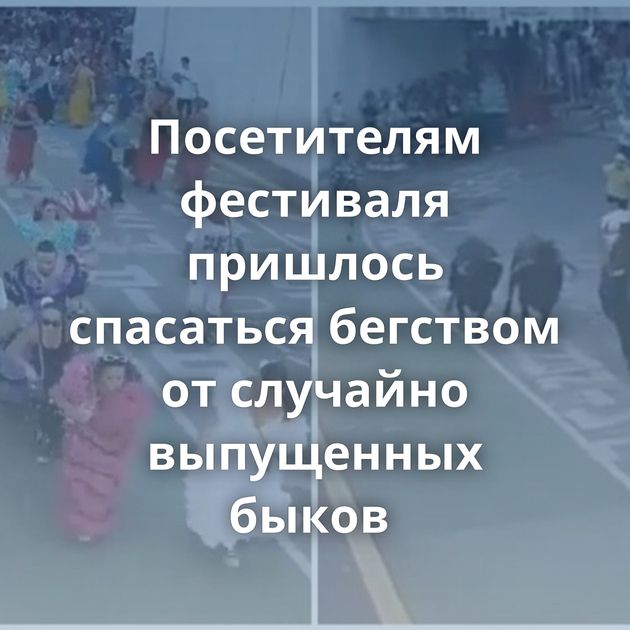 Посетителям фестиваля пришлось спасаться бегством от случайно выпущенных быков 