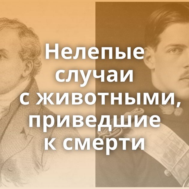 Нелепые случаи с животными, приведшие к смерти