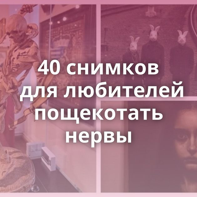 40 снимков для любителей пощекотать нервы