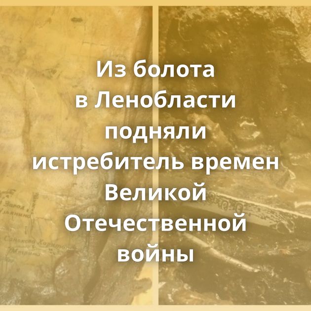Из болота в Ленобласти подняли истребитель времен Великой Отечественной войны