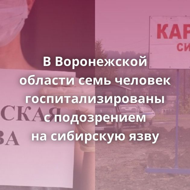 В Воронежской области семь человек госпитализированы с подозрением на сибирскую язву
