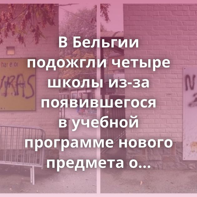 В Бельгии подожгли четыре школы из-за появившегося в учебной программе нового предмета о сексе