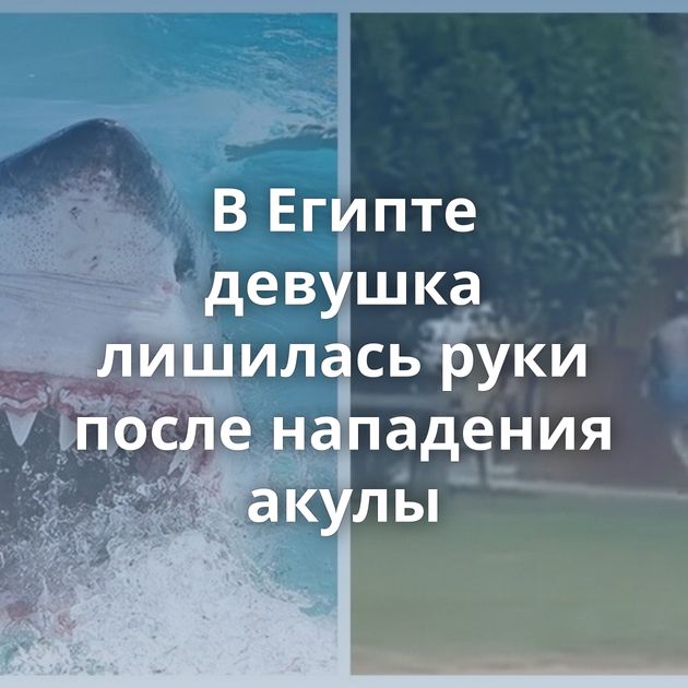 В Египте девушка лишилась руки после нападения акулы