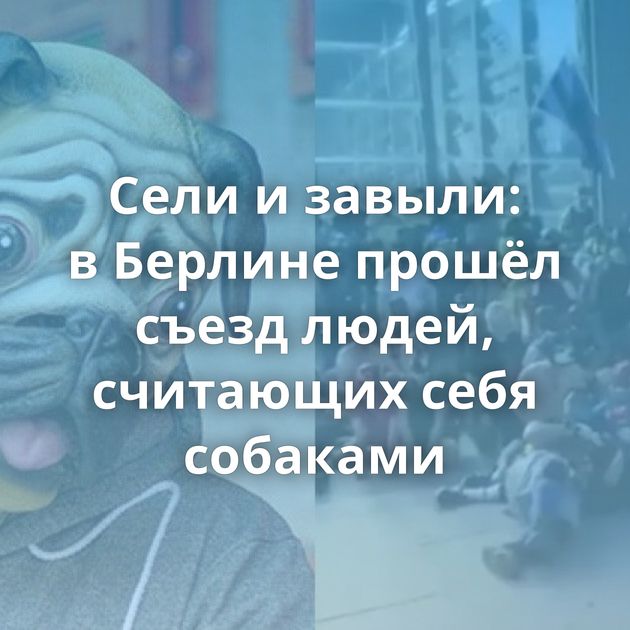 Сели и завыли: в Берлине прошёл съезд людей, считающих себя собаками