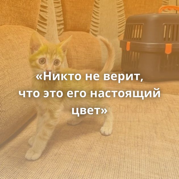 «Никто не верит, что это его настоящий цвет»