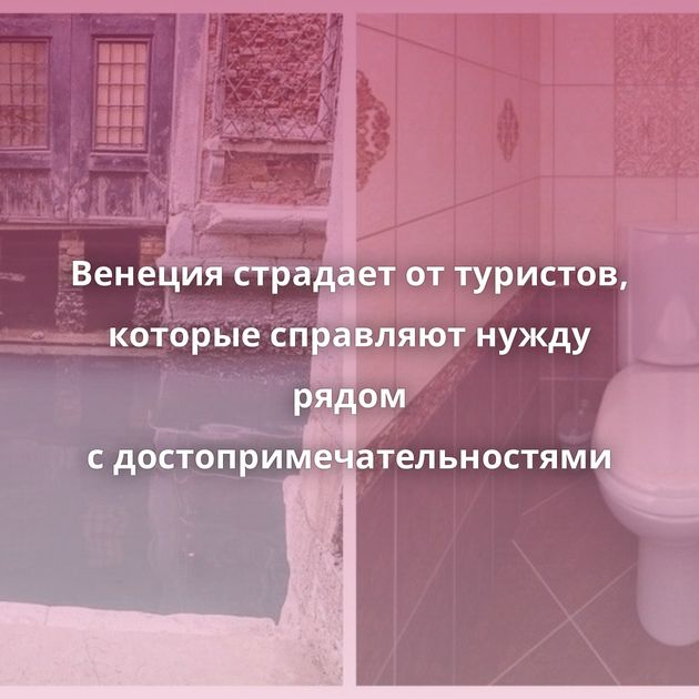 Венеция страдает от туристов, которые справляют нужду рядом с достопримечательностями