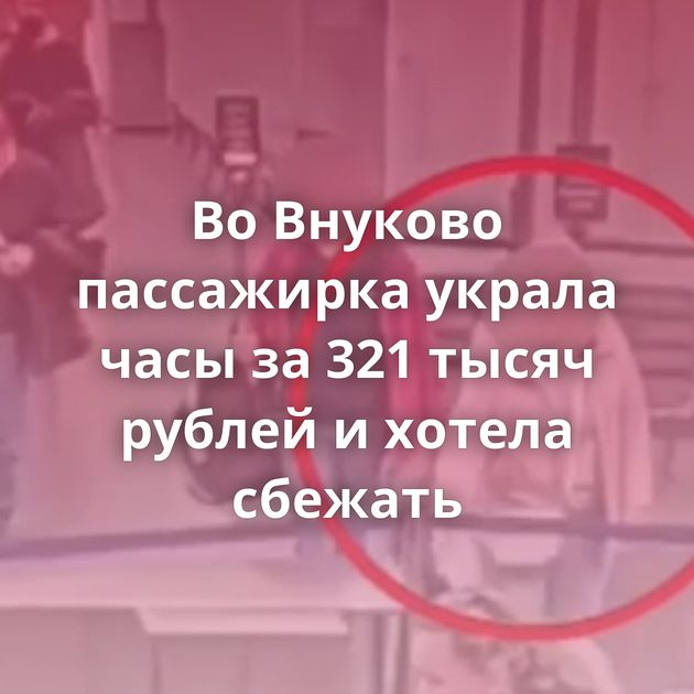 Во Внуково пассажирка украла часы за 321 тысяч рублей и хотела сбежать