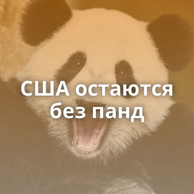 США остаются без панд