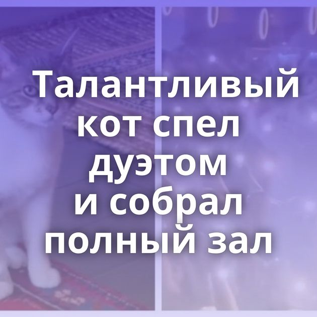 Талантливый кот спел дуэтом и собрал полный зал