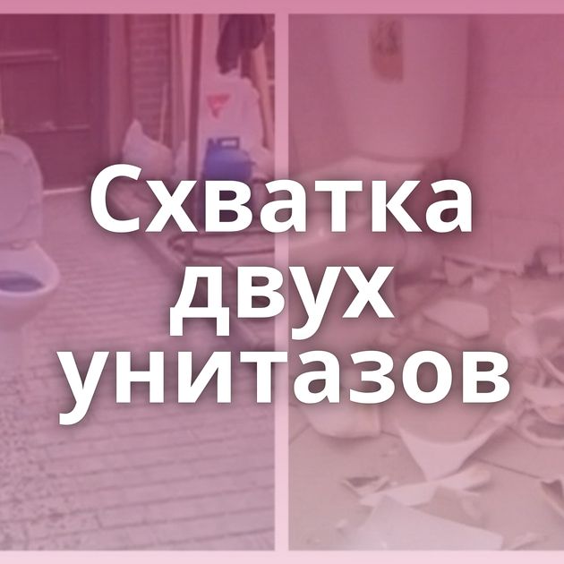 Схватка двух унитазов 