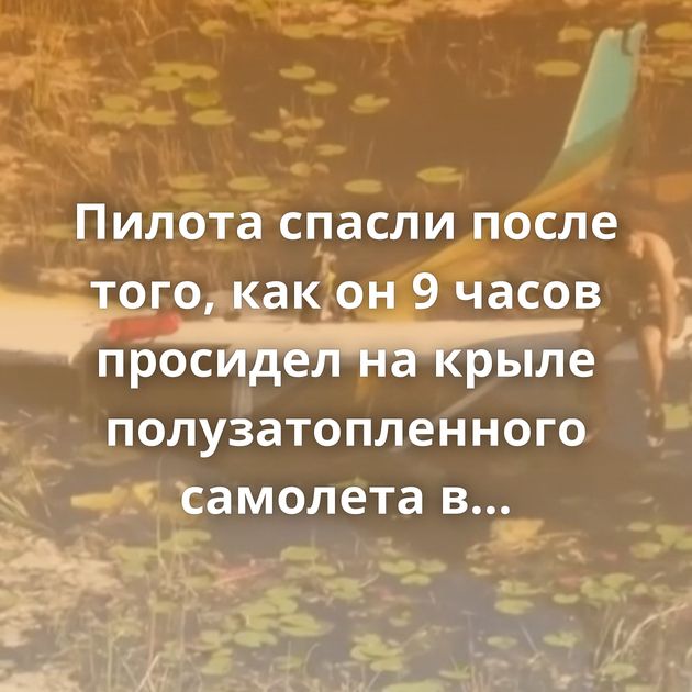 Пилота спасли после того, как он 9 часов просидел на крыле полузатопленного самолета в окружении…