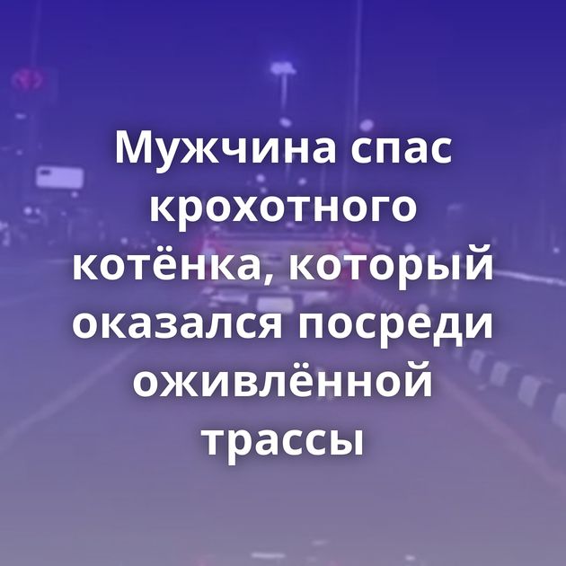 Мужчина спас крохотного котёнка, который оказался посреди оживлённой трассы