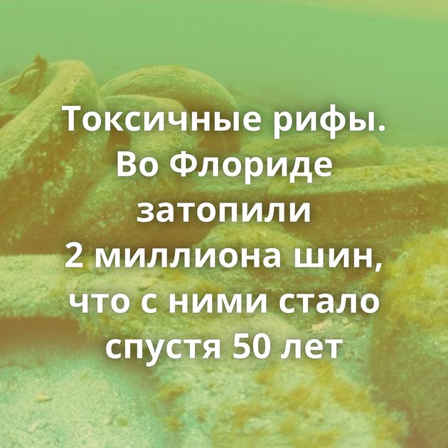 Токсичные рифы. Во Флориде затопили 2 миллиона шин, что с ними стало спустя 50 лет