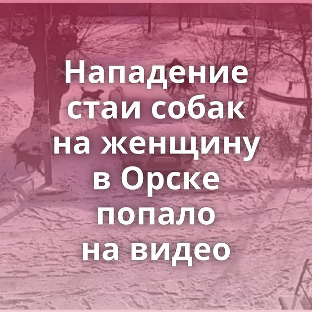 Нападение стаи собак на женщину в Орске попало на видео