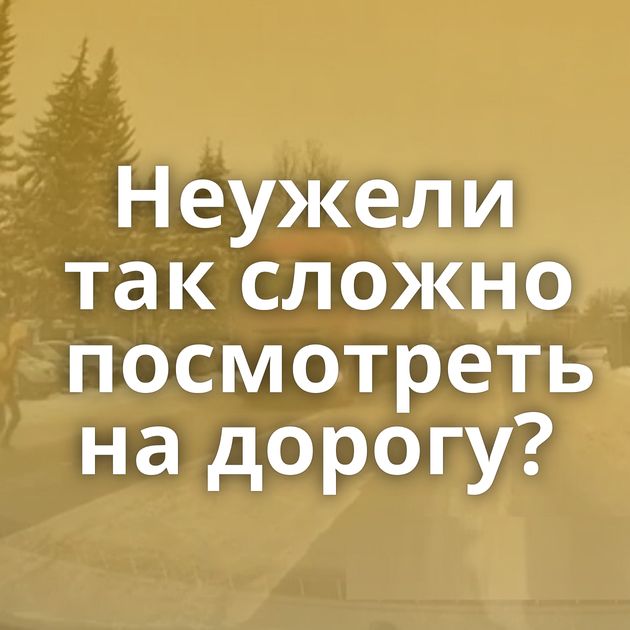 Неужели так сложно посмотреть на дорогу?