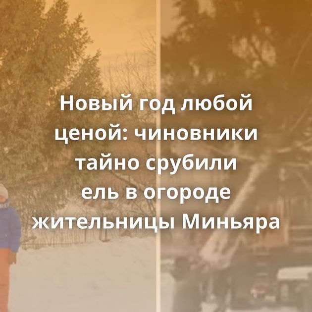 Новый год любой ценой: чиновники тайно срубили ель в огороде жительницы Миньяра