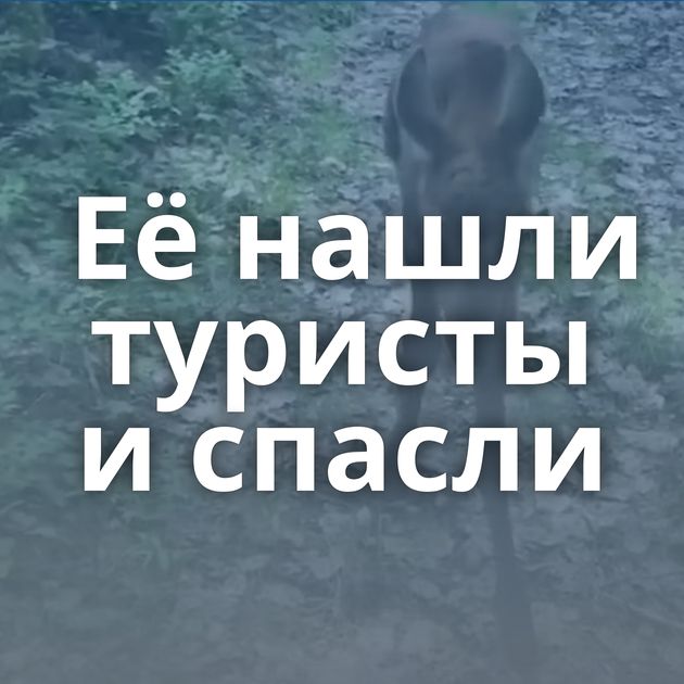 Её нашли туристы и спасли