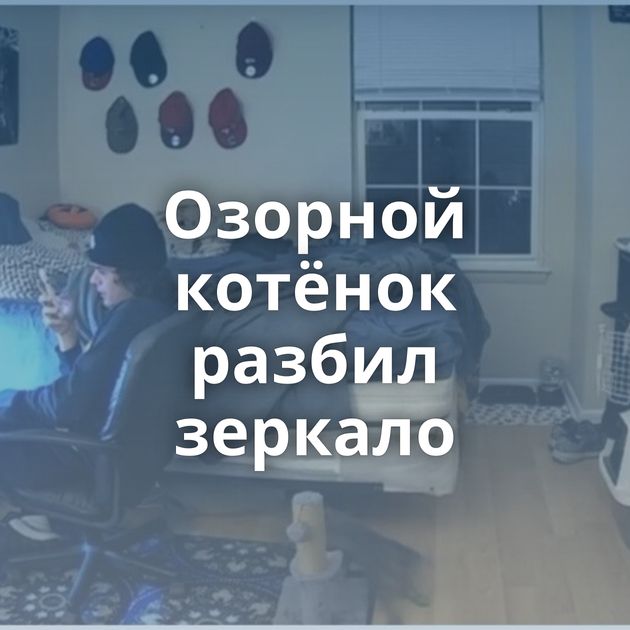 Озорной котёнок разбил зеркало