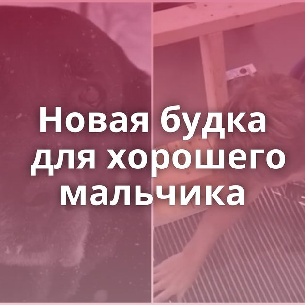 Новая будка для хорошего мальчика