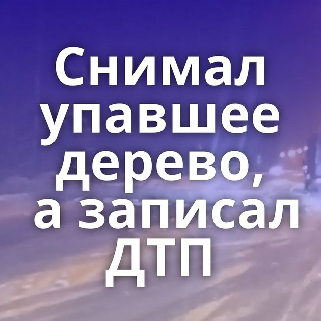 Снимал упавшее дерево, а записал ДТП