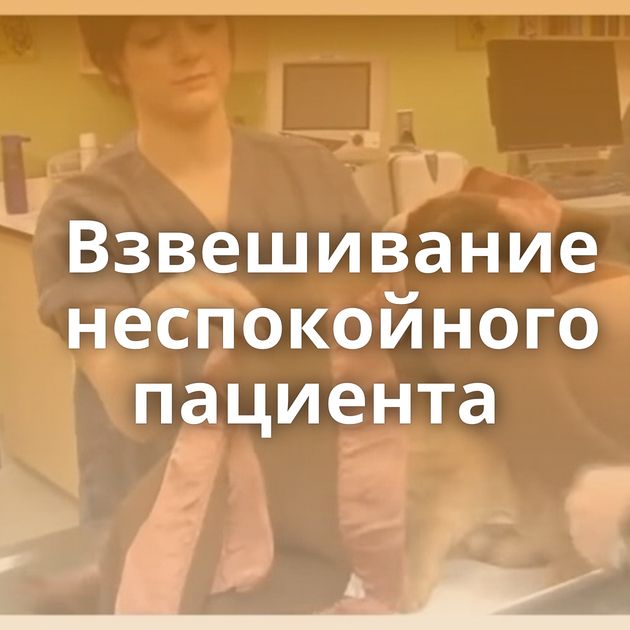 Взвешивание неспокойного пациента