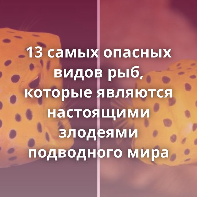 13 самых опасных видов рыб, которые являются настоящими злодеями подводного мира