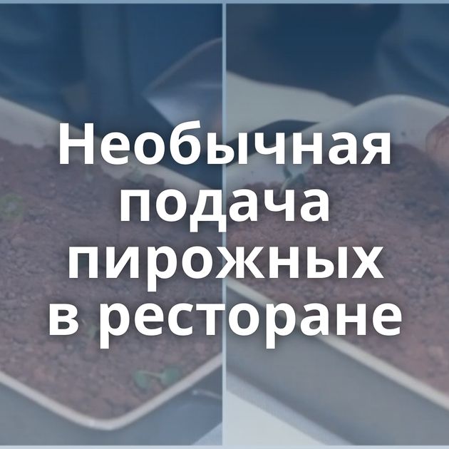 Необычная подача пирожных в ресторане