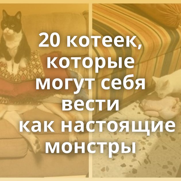 20 котеек, которые могут себя вести как настоящие монстры