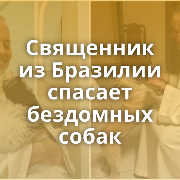 Священник из Бразилии спасает бездомных собак