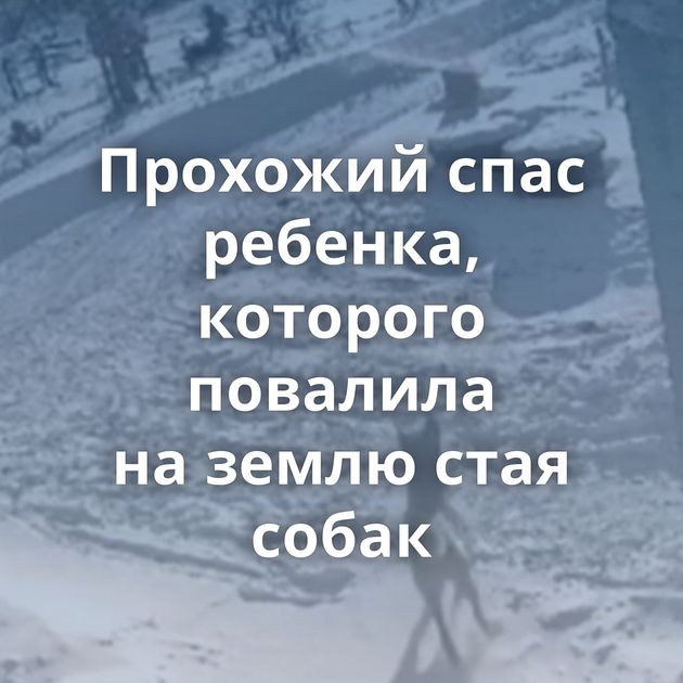 Прохожий спас ребенка, которого повалила на землю стая собак