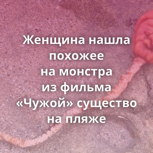 Женщина нашла похожее на монстра из фильма «Чужой» существо на пляже